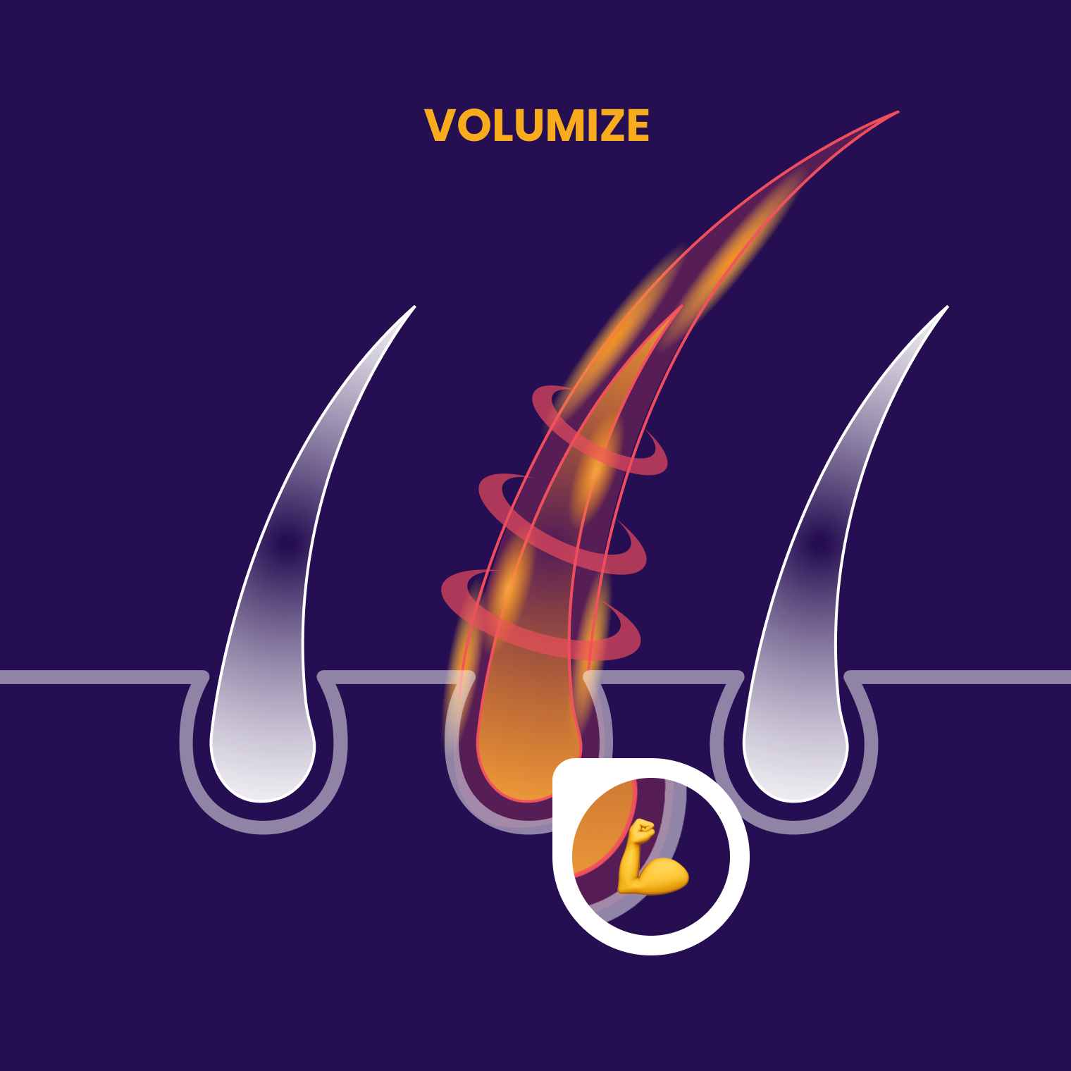 Volumized follicles